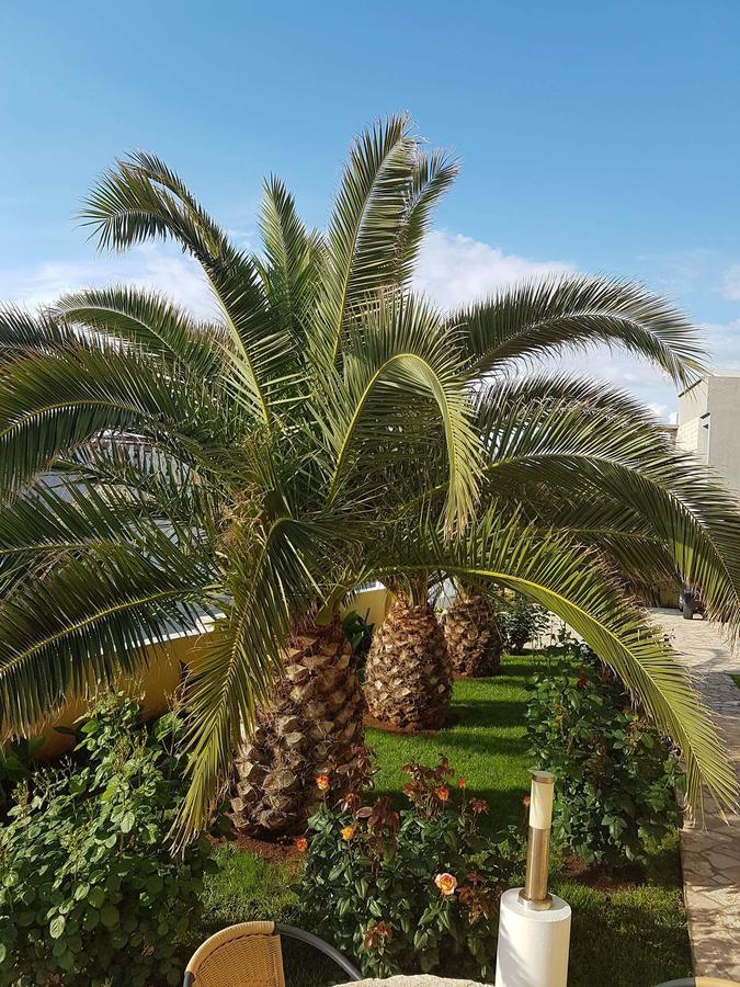 Apartments Vila Ana Vir Exterior photo